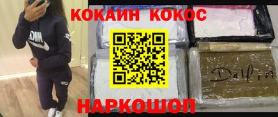 дмт Гай