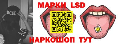мдпв Гатчина