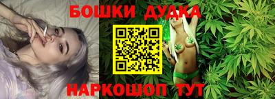 дмт Гай
