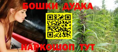 мдпв Гатчина
