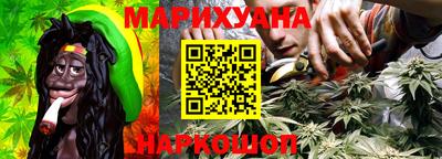 дмт Гай