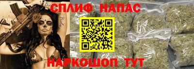мдпв Гатчина