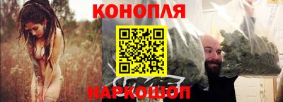 мдпв Гатчина