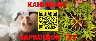 мдпв Гатчина
