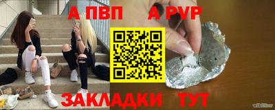 дмт Гай