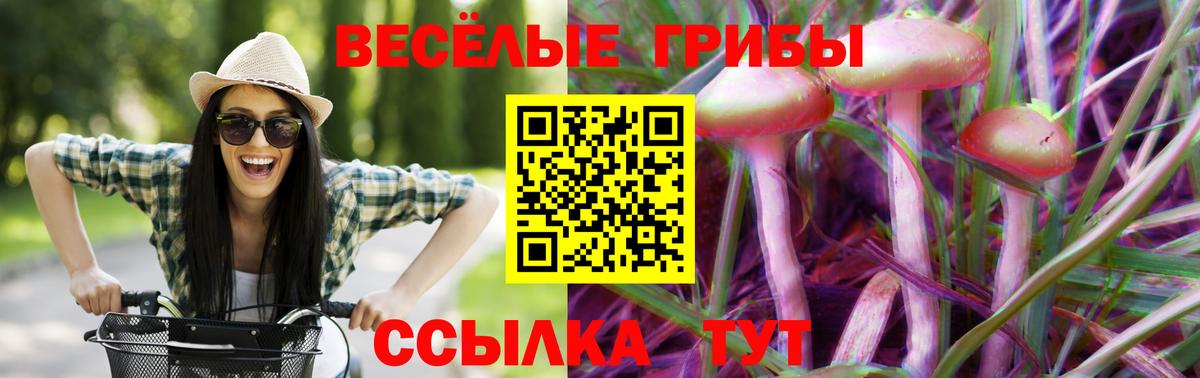 Галлюциногенные грибы Psilocybine cubensis  Вход с VPN  наркотики  Донецк 